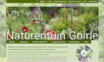 website printscreen