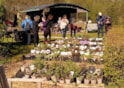 Volop biologische planten in de Naturentuin, foto Anneke Scholte