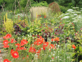 Dierenbingo en biodiversiteits-rondleiding