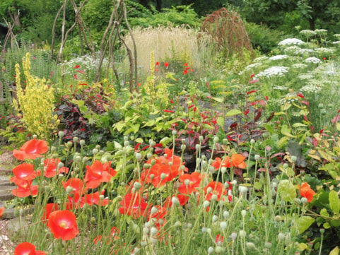 Rondleiding Naturentuin 4