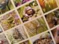 Dierenbingo Naturentuin 1