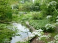 Rondleiding Naturentuin 3