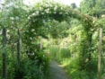 Rondleiding Naturentuin 1