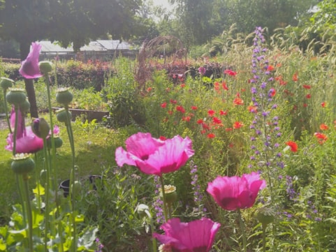 Ecotuindagen in de Naturentuin 2