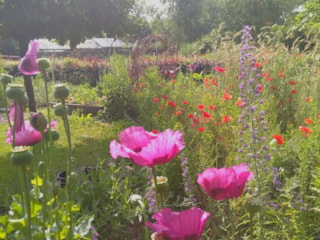Ecotuindagen in de Naturentuin 2