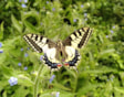 Ecotuindagen in de Naturentuin 4