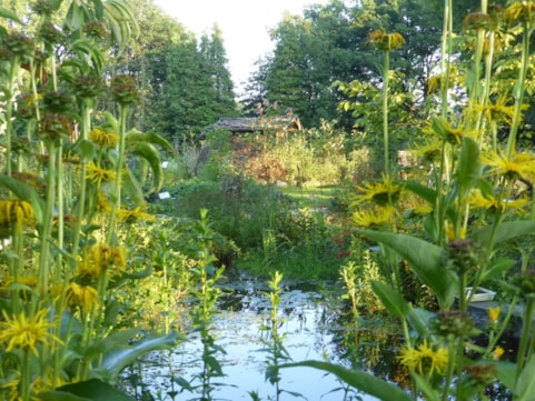 Mooie doorkijkjes in de Naturentuin