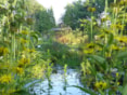 Mooie doorkijkjes in de Naturentuin