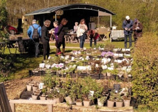a Plantjesdag 2025-09 (1)