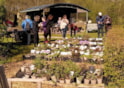 a Plantjesdag 2025-09 (1)