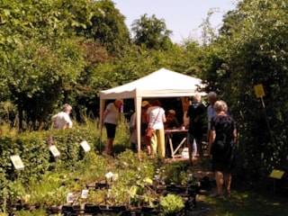 a Plantjesdag 2025-09 (6)
