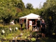 a Plantjesdag 2025-09 (6)