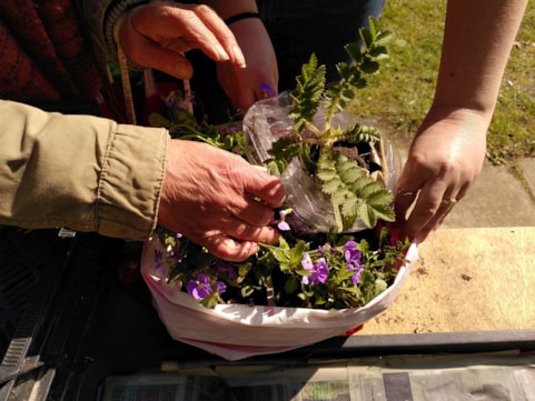 a Plantjesdag 2025-09 (5)