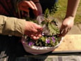 a Plantjesdag 2025-09 (5)