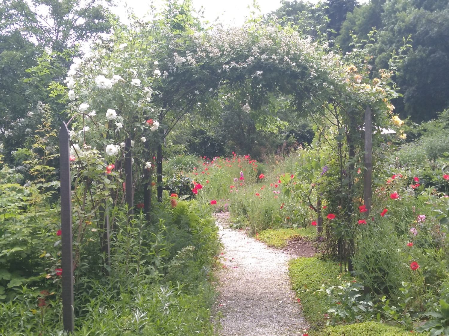 Tuinvriendennieuws Naturentuin 2019-09 (03)