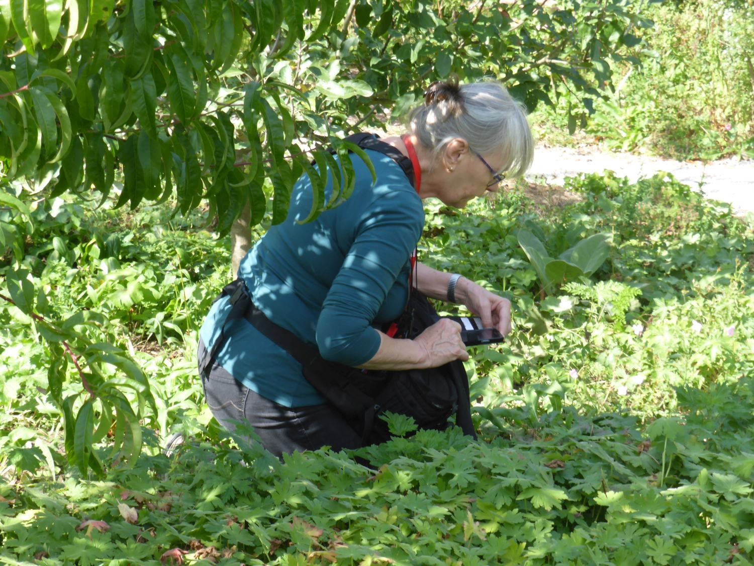 Tuinvriendennieuws dec 2019 (03)