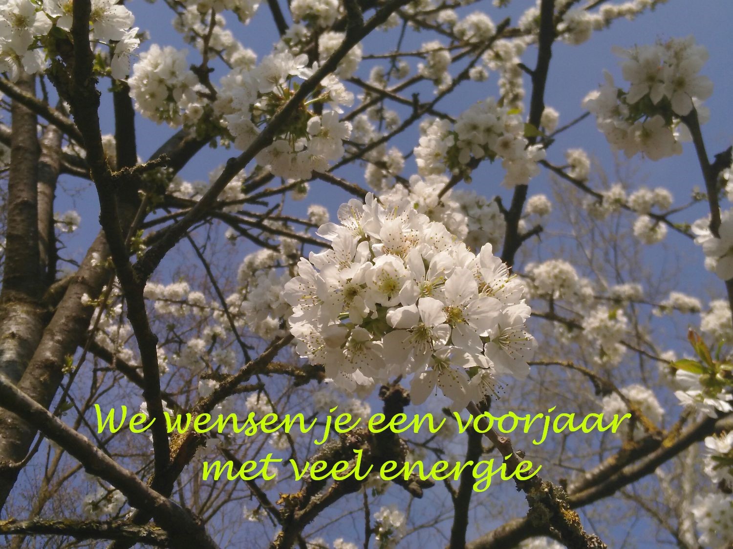 eindfoto maart 2021