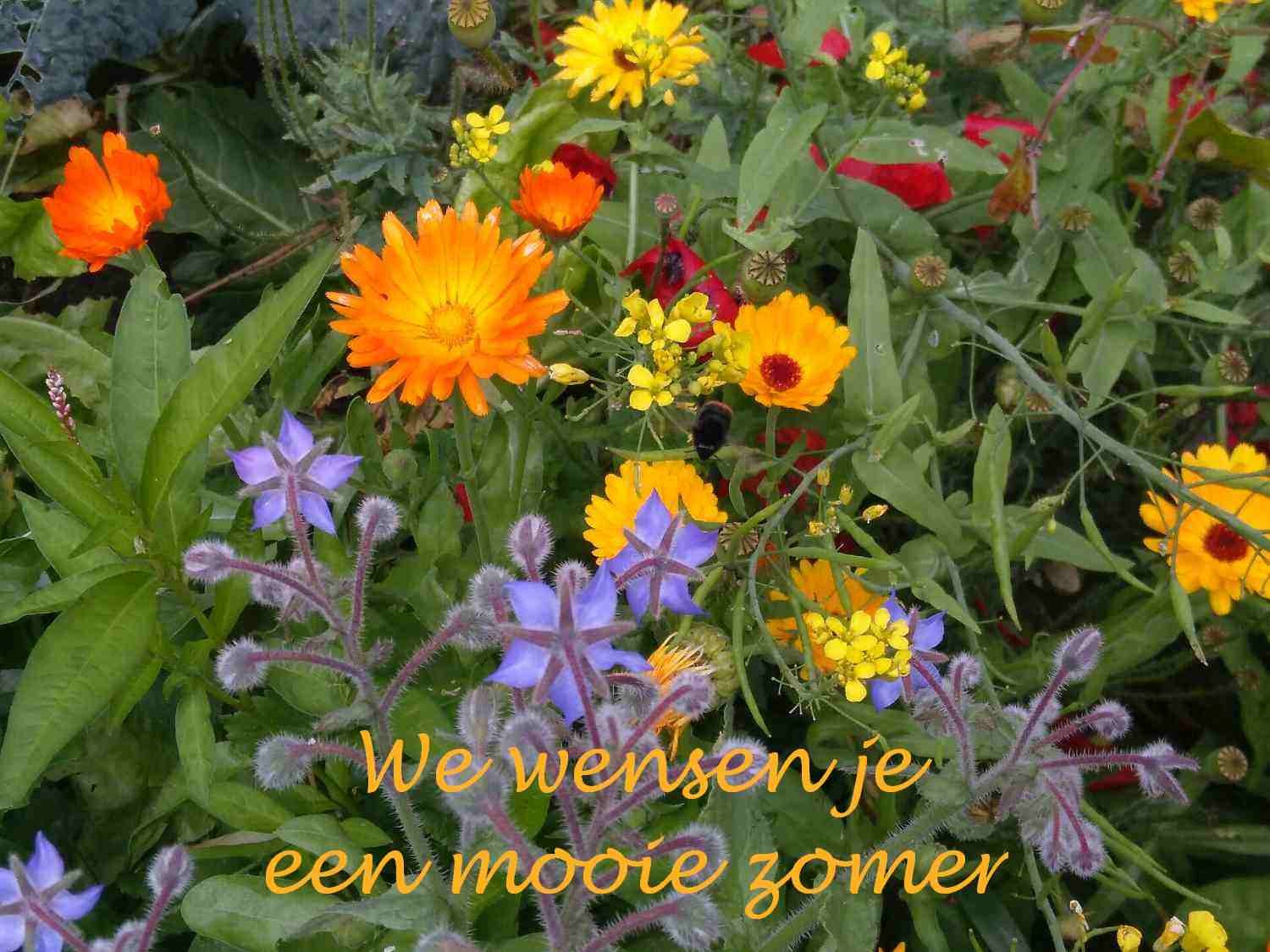 Eindfoto 2021-06
