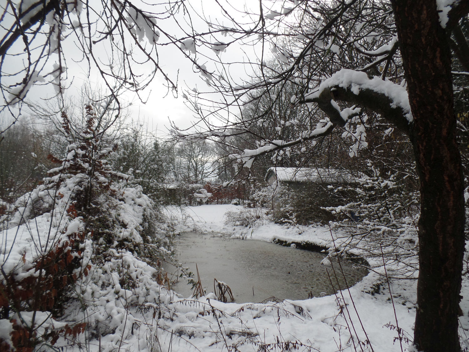 Tuinvriendennieuws 2023-03 (03)