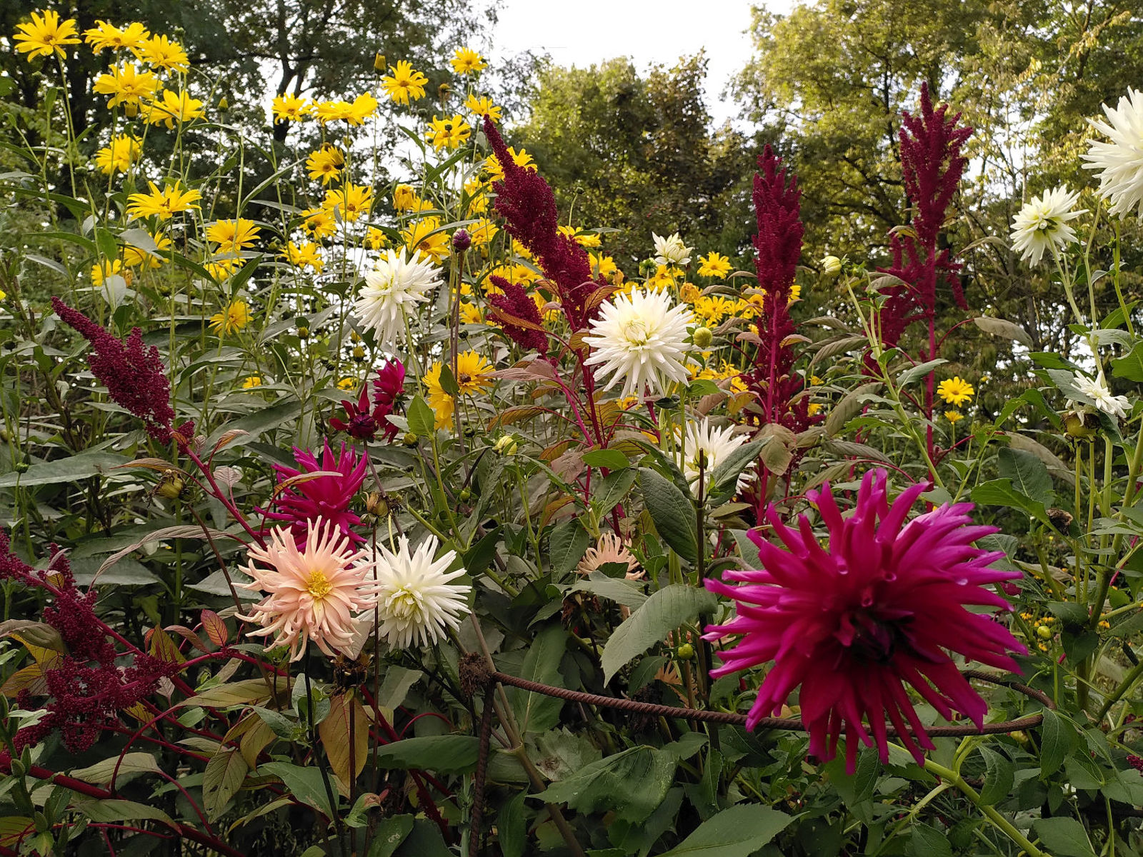 Tuinvrnws 2023-12  (02)