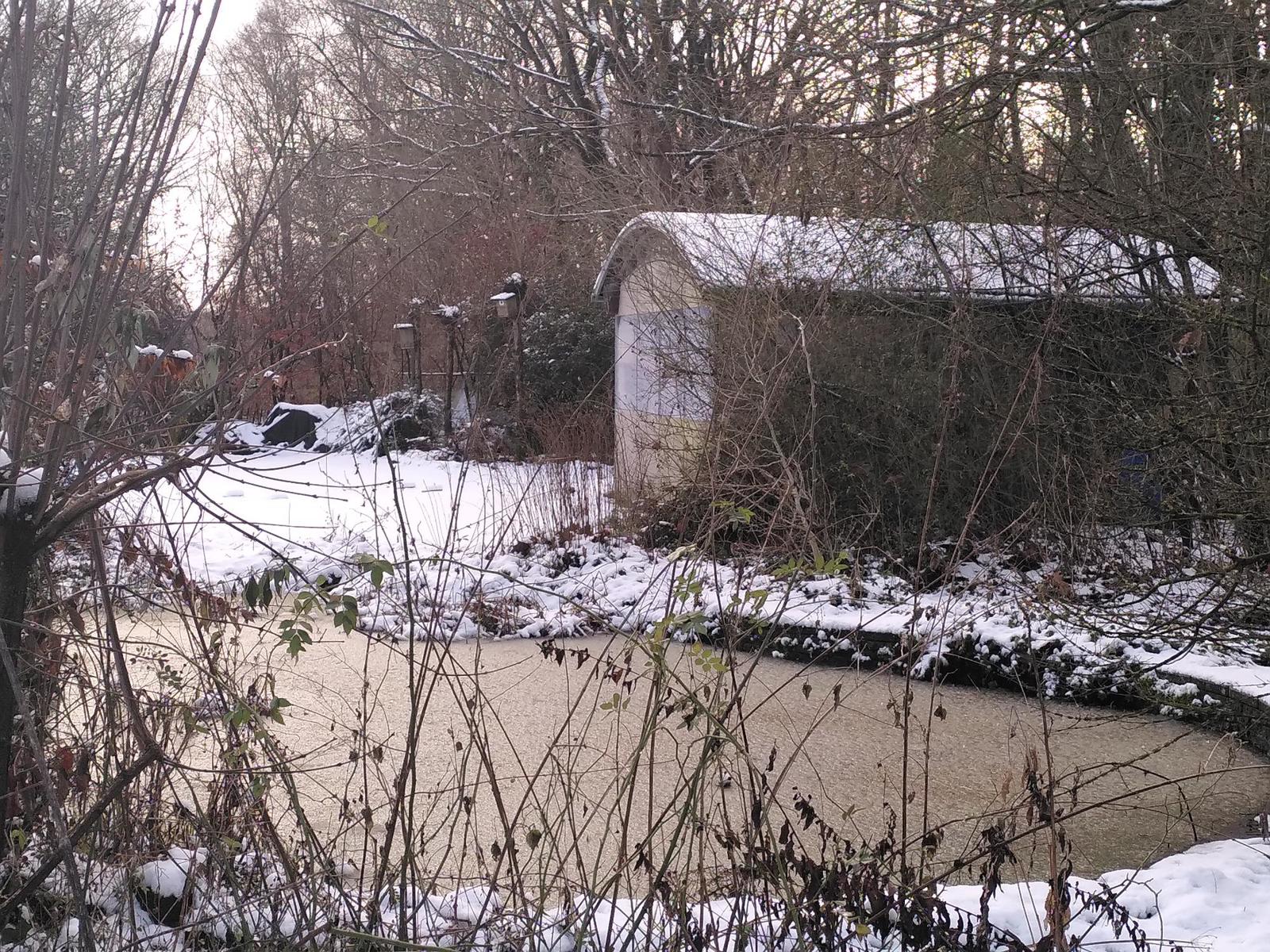 Tuinvrnws 2026-03  (03)