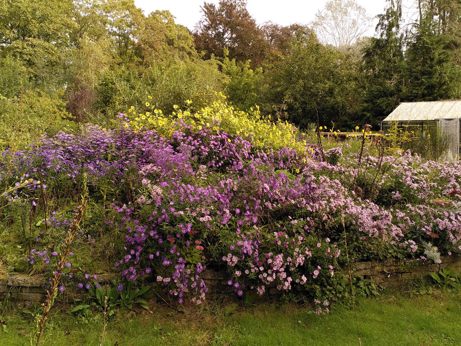 Tuinvrnws 2023-12  (03)