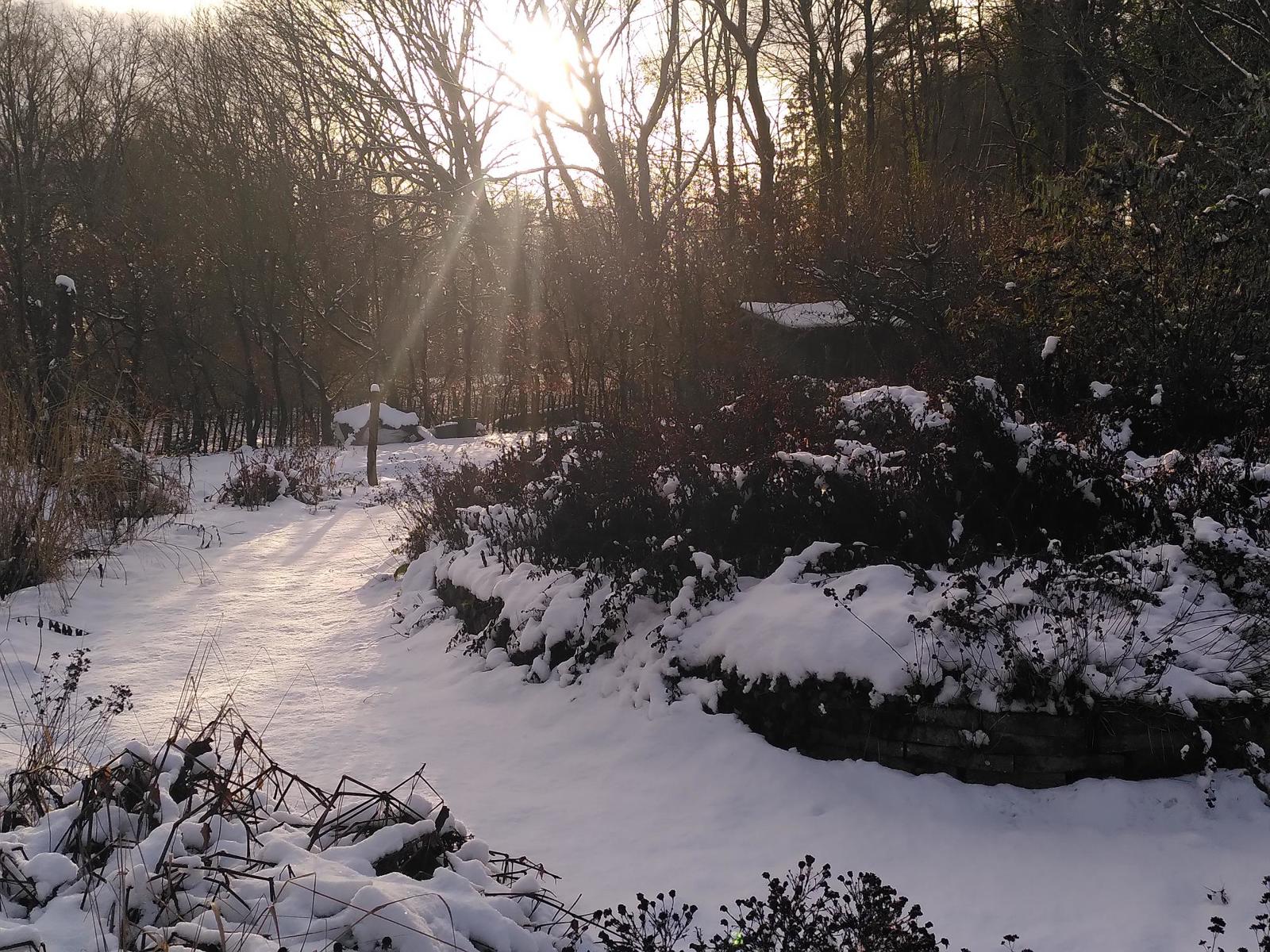 Tuinvrnws 2026-03  (02)